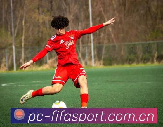 FIFA官方认证