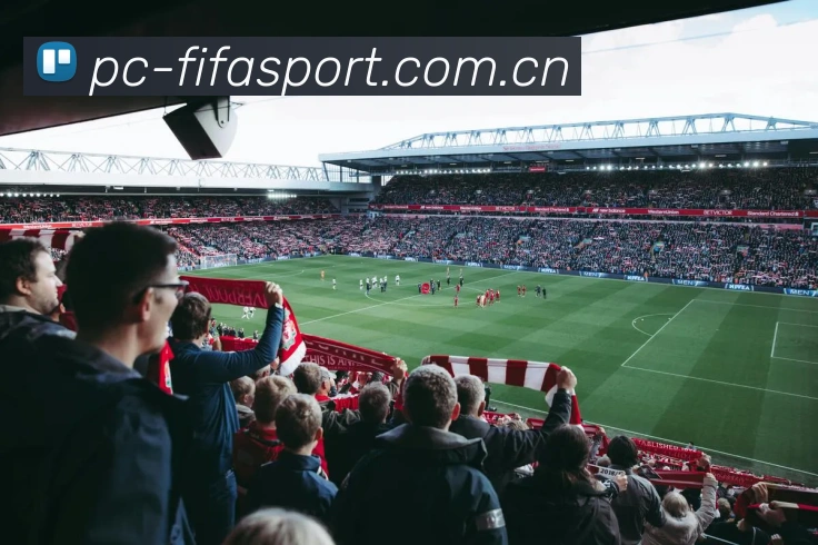 FIFA 官方数据授权认证